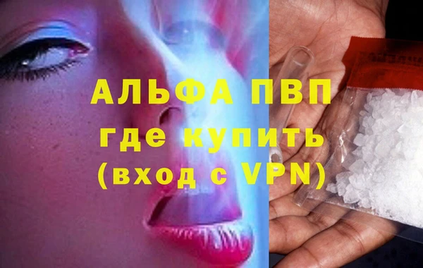 стаф Медвежьегорск