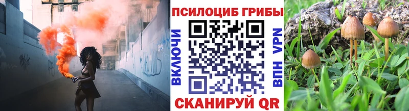 Галлюциногенные грибы Cubensis  Купить  Нытва 